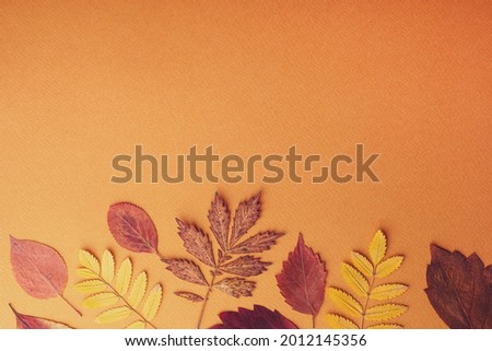 Frame of different dry leaves on an orange background, flat, flat, top view, copy space. Autumn composition, screensaver. Creative layout of colorful autumn leaves. Autumn season concept.