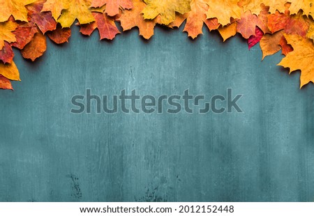 Autumn maple leaves on ancient texture. Falling leaves natural background. Seasonal background.