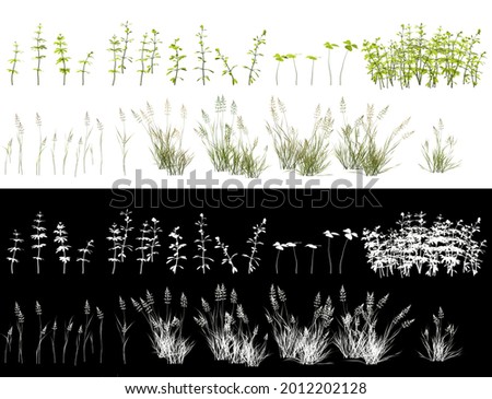 Bunch of wild grass, blades of grass, green tufts set isolated on white background. Green leaves grass elements to cutout with alpha channel mask for professional design compositions, 3d illustration