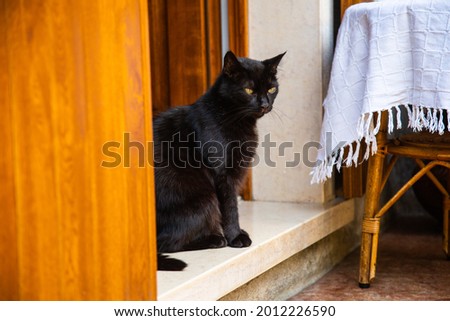 Black cat on the doorstep and on the table