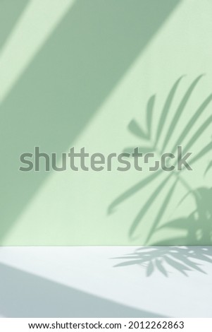 Minimal abstract background for the presentation of a cosmetic product. Premium podium with a shadow of tropical palm leaves on a pastel green wall and gray table.
