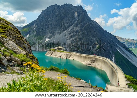 yellow alpine flowers, yellow daisies with the dam of the Brand Reservoir. mountain in Alps of Vorarlberg, the reservoir for electricity and water. beautiful alpine scenery in Vorarlberg, Austria Royalty-Free Stock Photo #2012264246