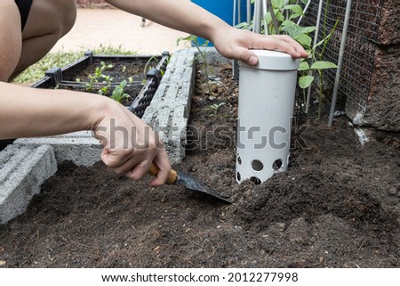 Person installing worm tower into soil in garden for organic composing