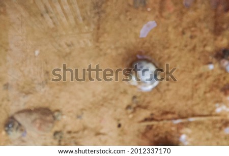 Abstract background of out-of-focus snails in water taken in Payakumbuh, West Sumatra Indonesia March 11, 2020