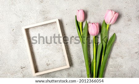 Fresh pink tulip flowers on ultimate gray wall