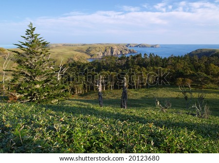 Shikotan island's coast. The view on Gorbunok Bay