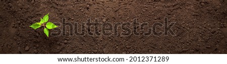 Earth day banner, young green sprout growing on soil, ecology concept, organic food, plant a tree, agriculture and farming background Royalty-Free Stock Photo #2012371289