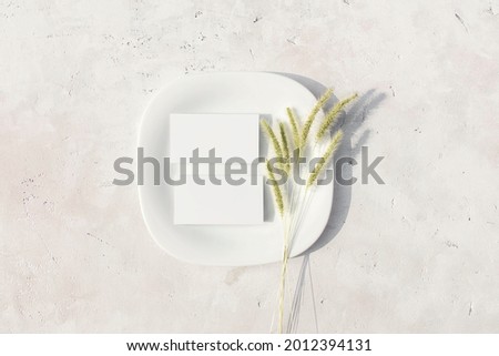 Mockup of business cards on a white plate with dried pampas grass flower on gray table background in a elegant minimalist style. Hard shadows. Top view, flat lay.