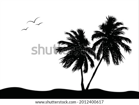 vector black silhouettes of palm trees isolated on a white background.
