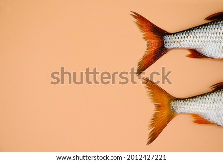 Tails of river roach fish on orange background. Concept of kitchen, food preparation, shop windows, market. Fishing concept.