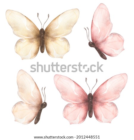 Delicate butterfly Clipart, Watercolor Insects illustration, Butterflies clip art,  Wedding Invitation, Logo design, baby shower card