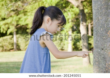 The girl finding a cicada perched in a tree