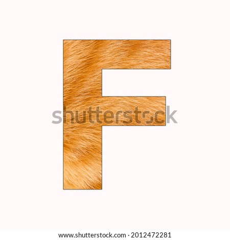 F letter uppercase alphabet - Yellow Cat Fur Background