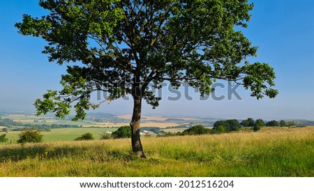 Great Landscape at a hot Sunny Days