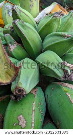 pictures of bananas under the ground