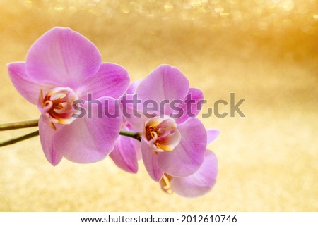 A branch of purple orchids on a shiny gold background. 