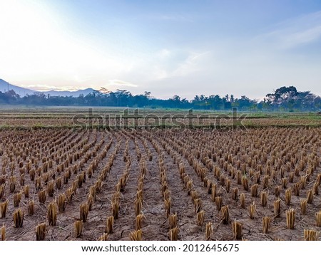 photo of landscape on dry land on farmland, with foggy blurry mountains in the background with blue sky and white clouds, location of Karanganyar Indonesia