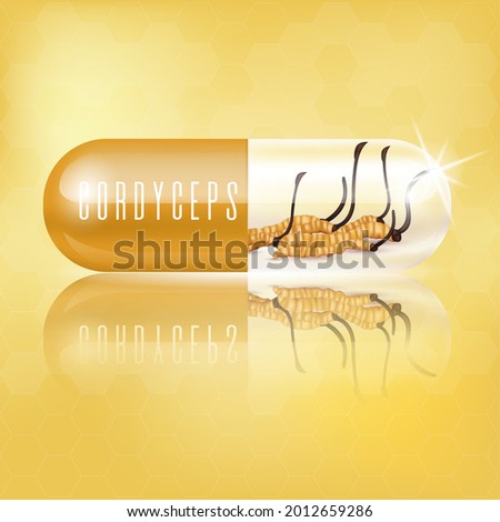 Cordyceps in capsules. Traditional chinese herbs, Is a mushroom that using for medicine and food famous in Asian. Medical concepts and health supplements. Realistic 3D Vector.