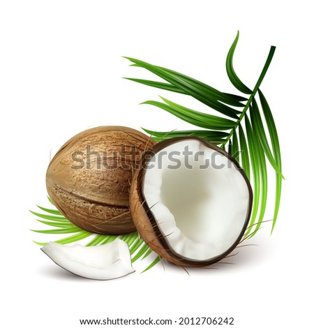 Coconut Fresh Tropical Nut And Tree Leaves Vector. Whole And Crashed Vegetarian Natural Ripe Coconut, Tasty Vitamin Nutrition. Milky Coco And Palm Branch Template Realistic 3d Illustration Royalty-Free Stock Photo #2012706242