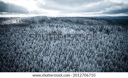 Snow White winter forest, drone shot, aerial view, Germany, German forest