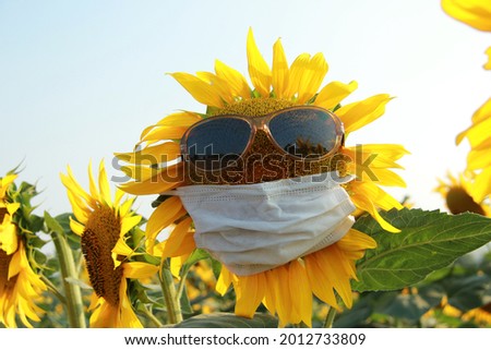 sunglasses summer mask sunflower yellow landscape pictures