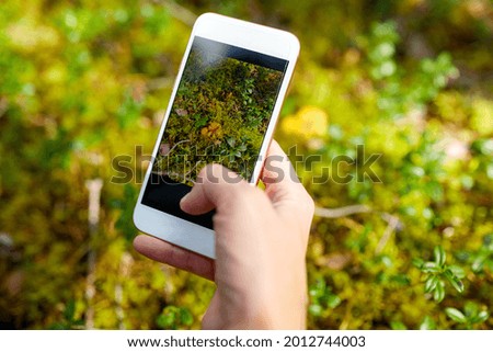 technology, picking season and people concept - hand with smartphone using mobile app to identify mushrooms