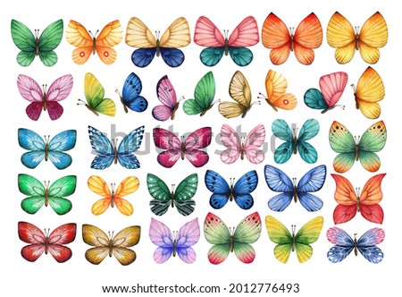 Set of watercolor illustrations depicting bright butterflies isolated on a white background. Hand-painted