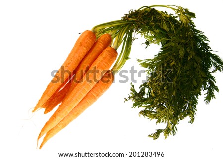 carrots - symbolic image for food 