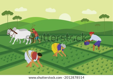 Indian agriculture working. Farmer harvesting in field asia vector background in cartoon style Royalty-Free Stock Photo #2012878514