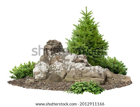 Cutout rock surrounded by fir trees. Garden design isolated on white background. Decorative shrub for landscaping. High quality clipping mask for professionnal composition or 3D rendering. Royalty-Free Stock Photo #2012911166
