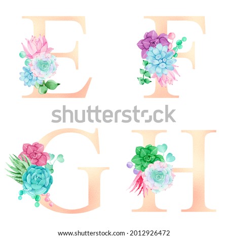Floral watercolor alphabet set collection with colorful succulents. For Wedding invitations, baby shower, sublimation design, birthday, other concept ideas.