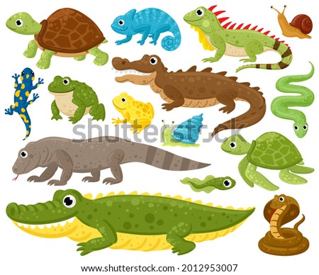 Cartoon amphibians and reptiles. Serpent, reptile and amphibians, frog, iguana and python vector illustration set. Wildlife reptiles and amphibians. Reptile and amphibian lizard, animal wildlife