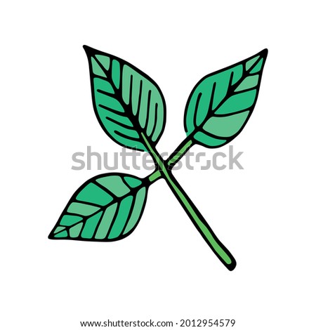 Isolated sketch of a tree leaves Vector illustration