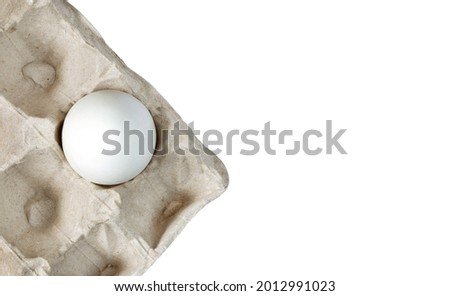 One white egg placed in a carton isolated on a white background. Top view. Closeup. Copy space.