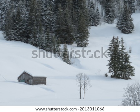 Idyllic Swiss alpine mountain huts and traditional Swiss rural architecture dressed in winter clothes and in a fresh snow cover in the Obertoggenburg region, Wildhaus - Canton St. Gallen, Switzerland