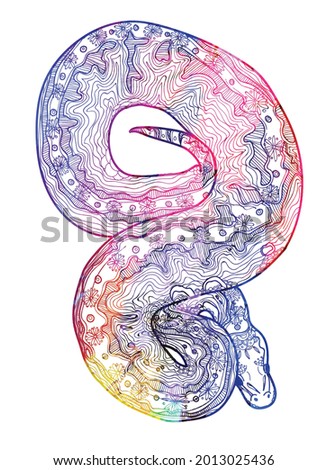 Royal python snake.. Doodling coloring, meditative coloring. Patterns, dots, stripes. Cute animals.