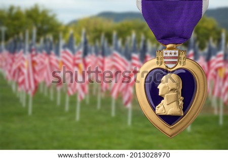 Purple Heart Miltary Merit Medal Against Memorial Field of American Flags Royalty-Free Stock Photo #2013028970