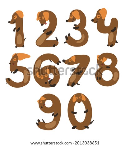 vector illustration of a number in the form of dogs dachshund number brown color hand drawing count from one to ten