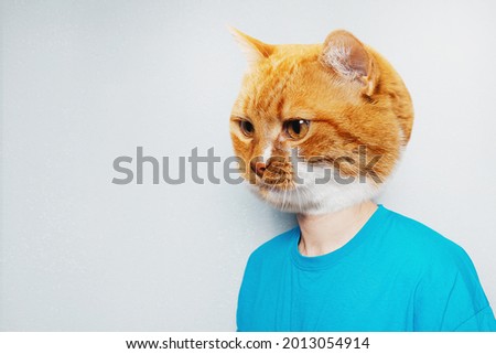 Cat's head on male body in blue, textured grey background with copy space.