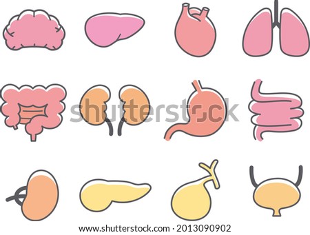Human Visceral or Organs Icon Set