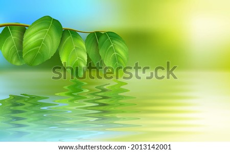 Ecology. Reflection of leaves on the water. Abstract vector illustration of the reflection of a branch with green leaves on the water with small waves. A banner for creativity.