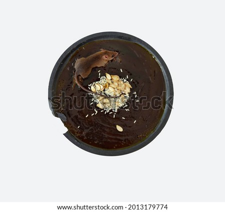 Round plate with grain and rice sprinkled  It is a trap for getting rid of dirty rats in the house with a kind of sticky glue. Royalty-Free Stock Photo #2013179774