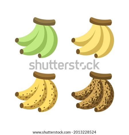 Ripening stages of bananas icon set. Banana ripeness color unripe to overripe. Fruit infographic clipart element vector illustration. Royalty-Free Stock Photo #2013228524