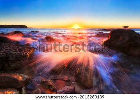 Frozen moment of scenic pacific ocean wave with a segull bird on the rock at sunrise in Sydney - Newport beach of Northern beaches.