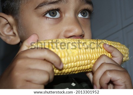 A child holding fresh seeds of sweet corn close-up photography.