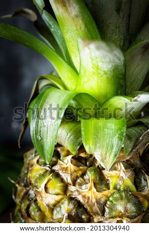 Whole and fresh pineapple. Whole pineapple piece in sunset light. Tropical fruit. Cooking and food Photography