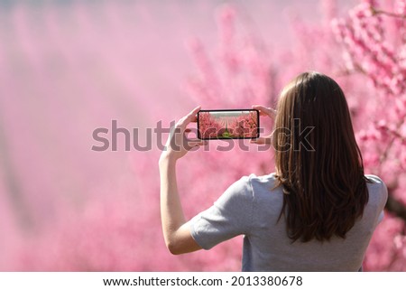 Back view portrait of a woman taking photo of a landscape with a smart phone in springtime in a pink flowered field Royalty-Free Stock Photo #2013380678