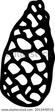 Pine cone doodle. Vector black-and-white hand-drawn illustration. An isolated object on a white background.