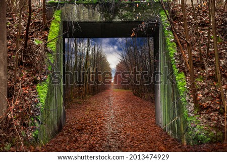 Bridge in front of a cozy forest path