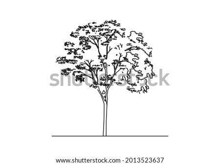 Jungle tree sketch vector design